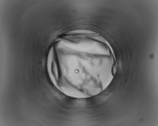 X0000090870668200708241921