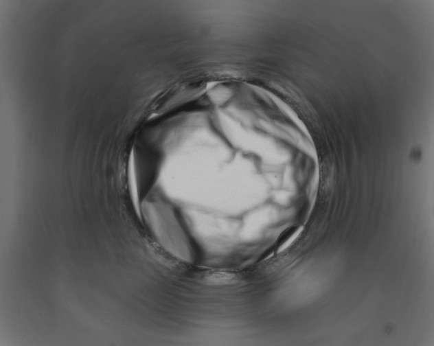 X0000090870669200708241921