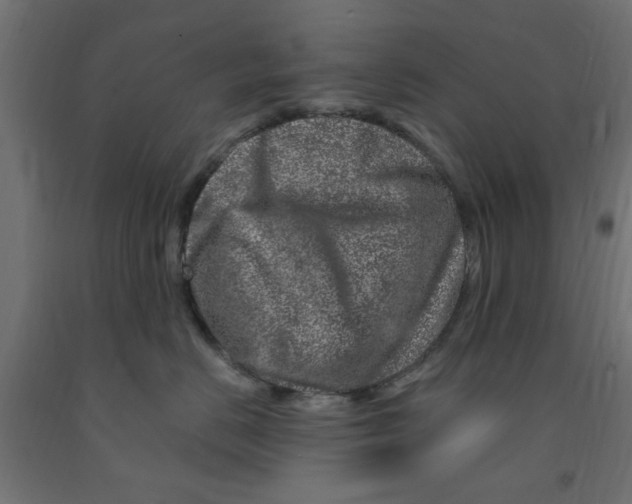 X0000090870670200708241921