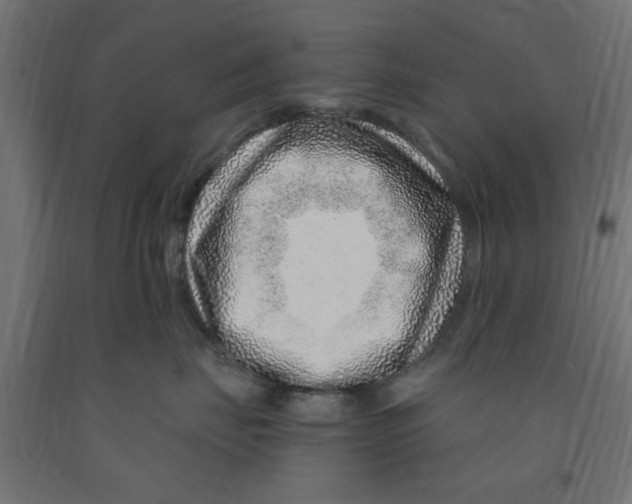 X0000090870671200708241921