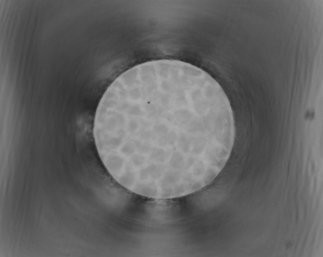 X0000090870672200708241921