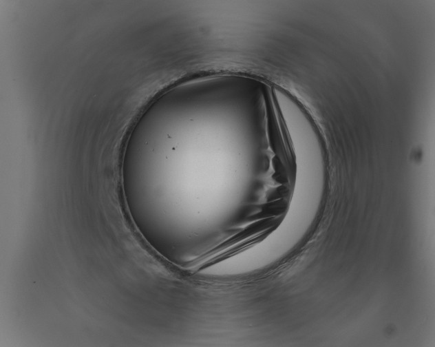 X0000090870673200708241920