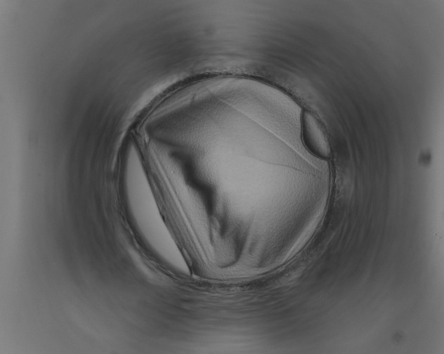 X0000090870674200708241920