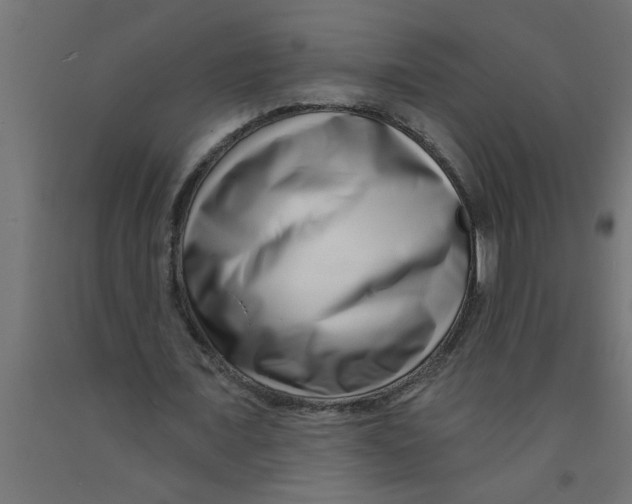 X0000090870675200708241920