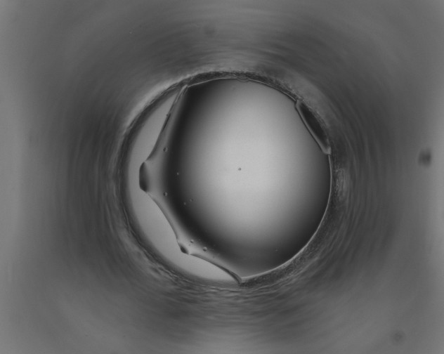 X0000090870676200708241920