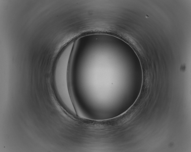 X0000090870677200708241920