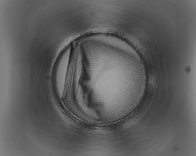 X0000090870678200708241920