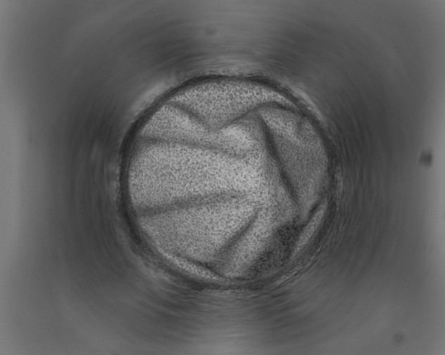 X0000090870679200708241920