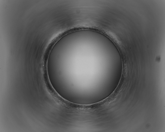 X0000090870680200708241920