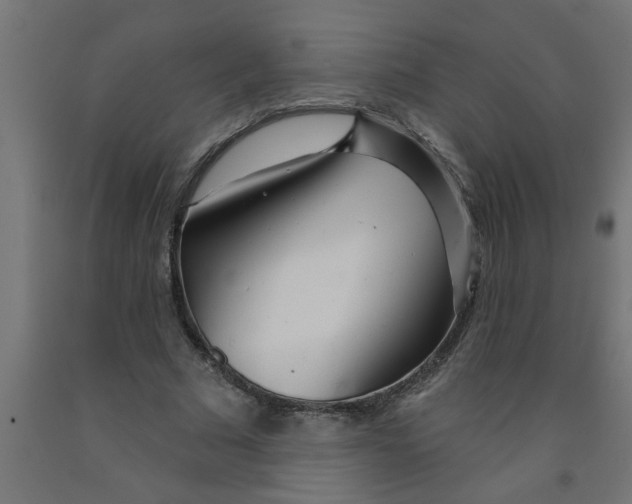 X0000090870681200708241920