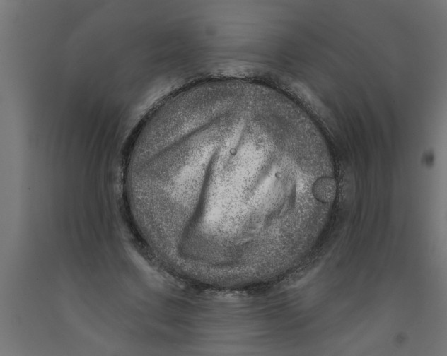 X0000090870683200708241920