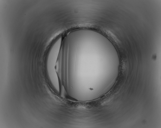 X0000090870684200708241920