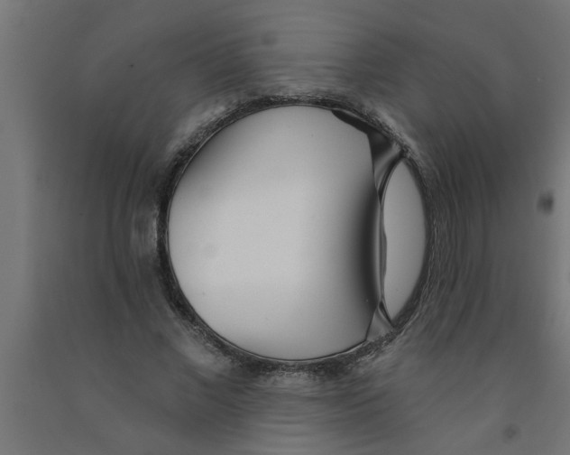 X0000090870685200708241920