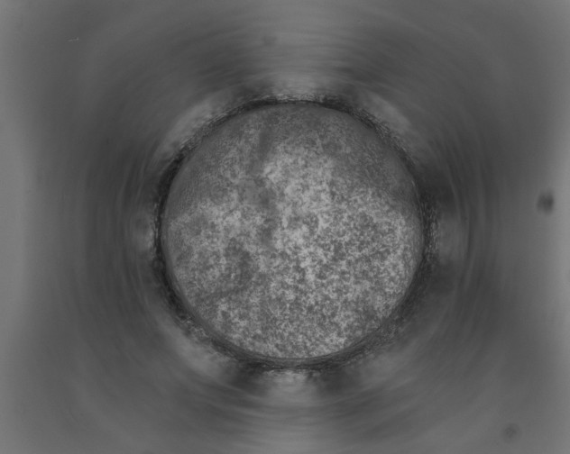 X0000090870687200708241920