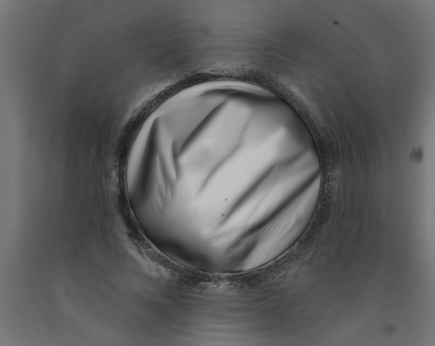 X0000090870688200708241920