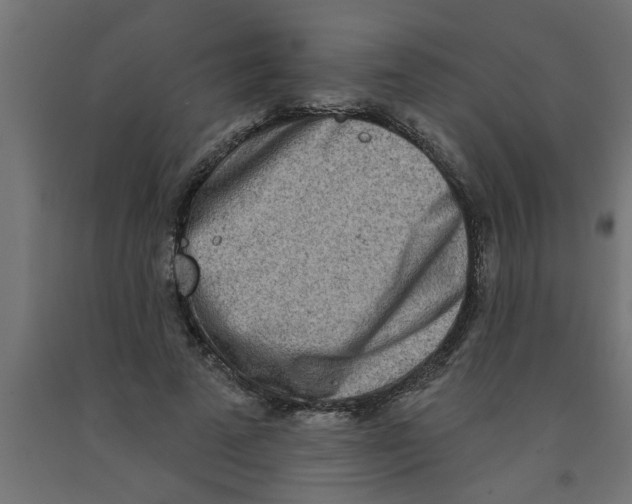 X0000090870689200708241920