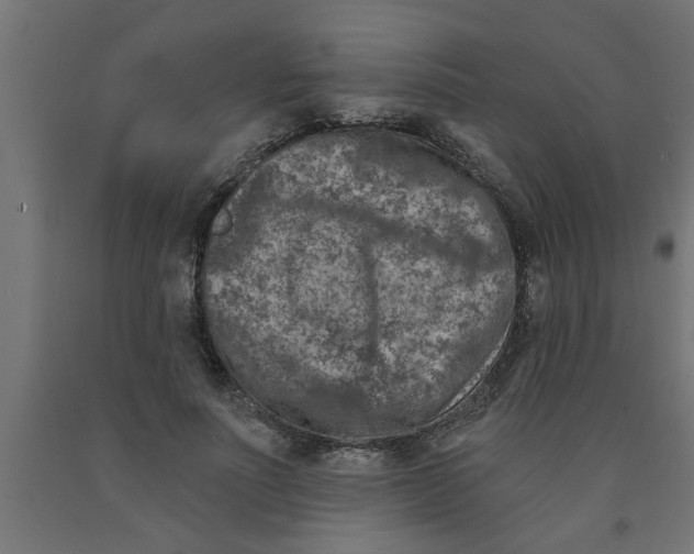 X0000090870691200708241920