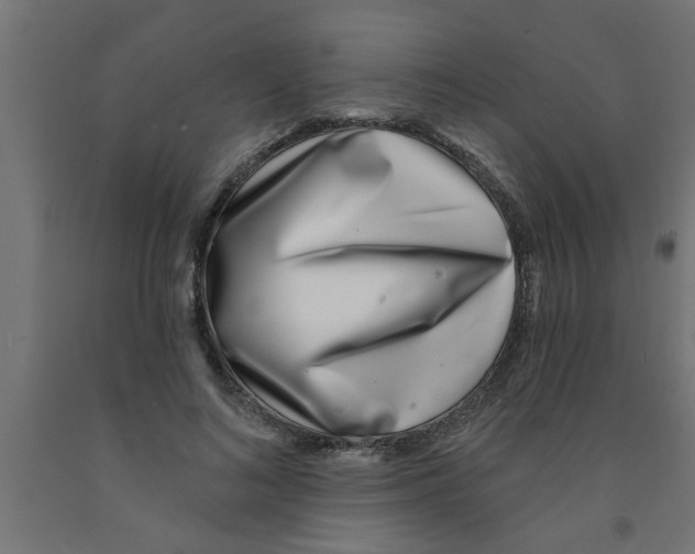 X0000090870692200708241920