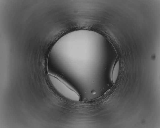 X0000090870693200708241920