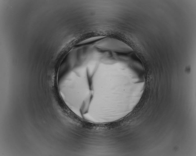 X0000090870694200708241920