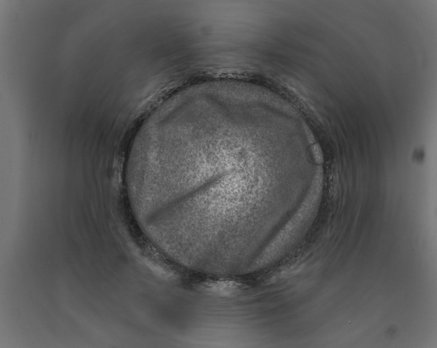 X0000090870695200708241920