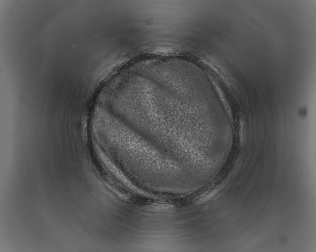 X0000090870696200708241920