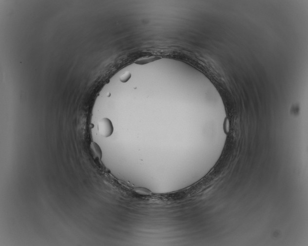 X0000090870697200708241920