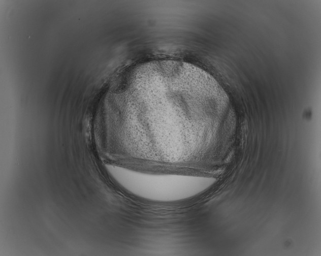 X0000090870699200708241920