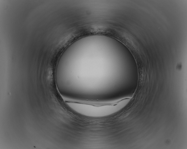 X0000090870700200708241920