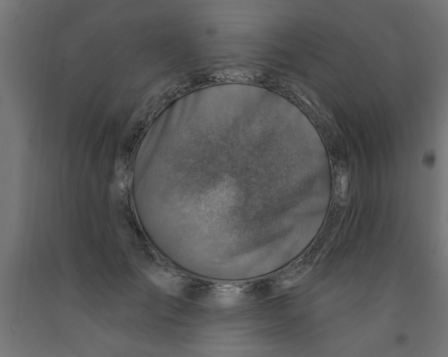 X0000090870701200708241920