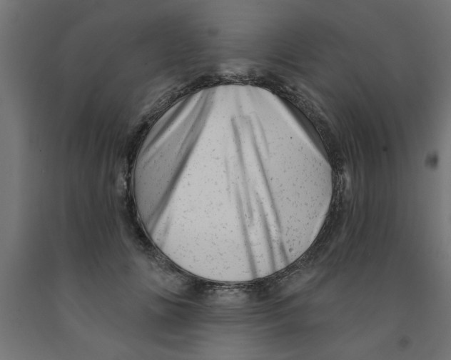 X0000090870702200708241920