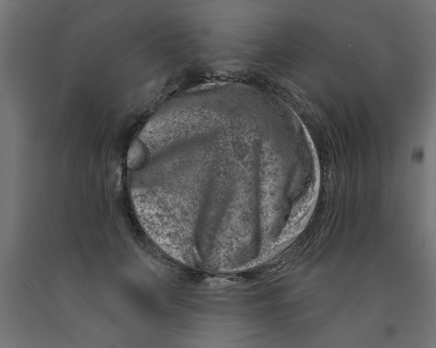 X0000090870703200708241920