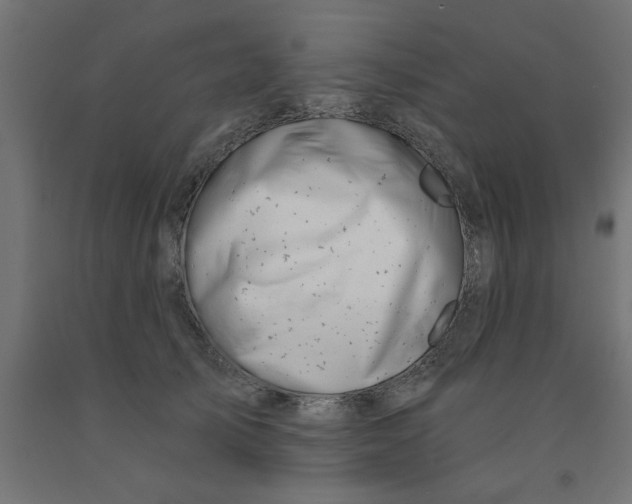 X0000090870705200708241920