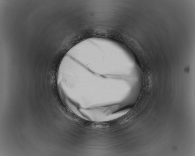 X0000090870706200708241920