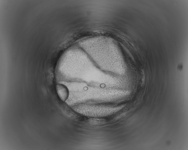 X0000090870707200708241920