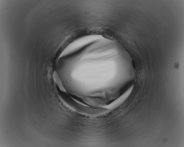 X0000090870708200708241920