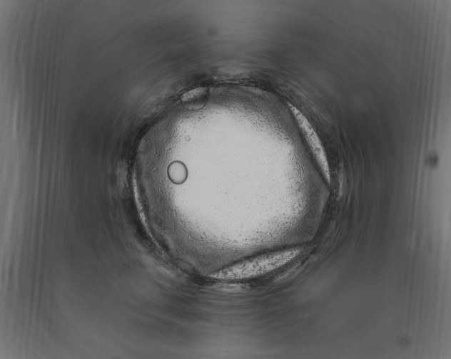 X0000090870711200708241920