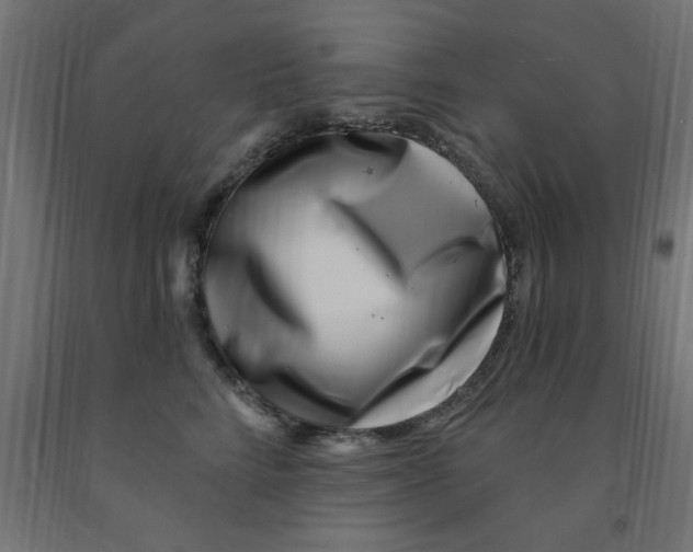 X0000090870712200708241920