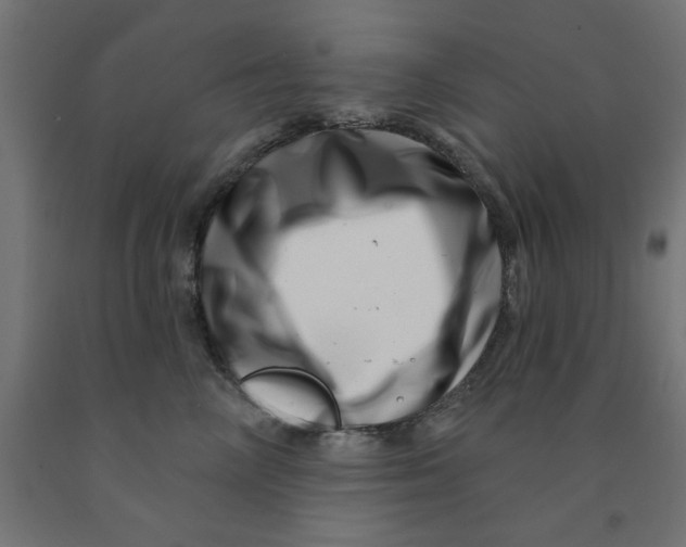 X0000090870714200708241920