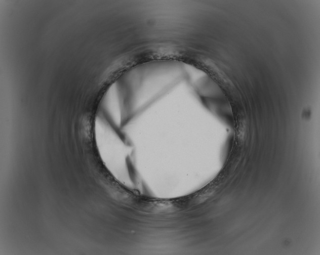 X0000090870715200708241920