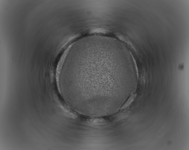 X0000090870716200708241920