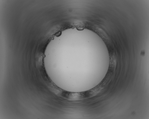 X0000090870717200708241920