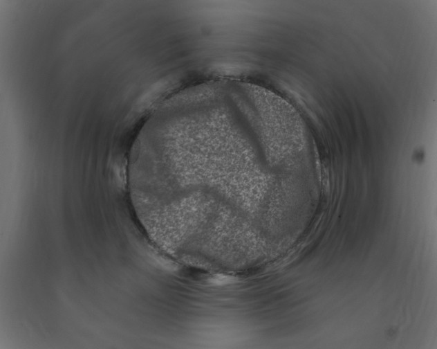 X0000090870718200708241920