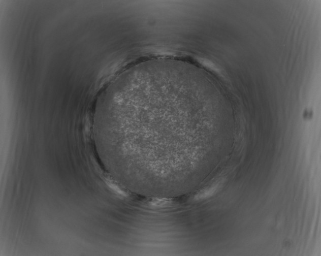 X0000090870720200708241920