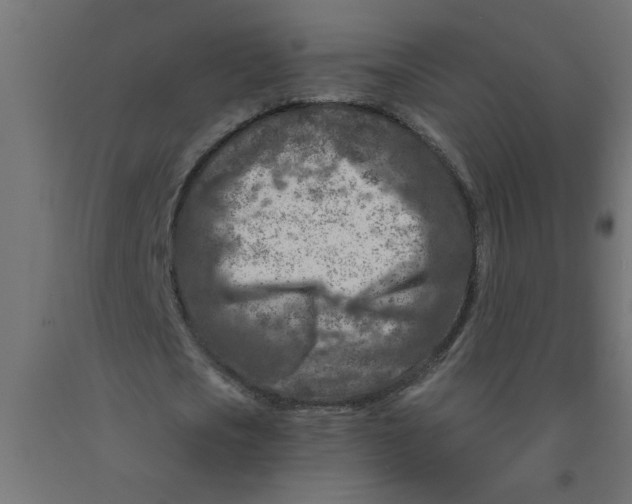 X0000090870721200708241919