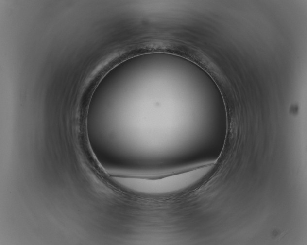 X0000090870722200708241919