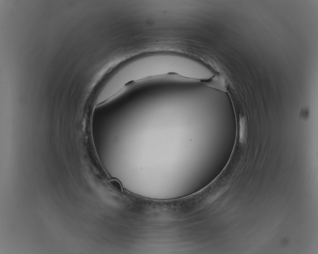 X0000090870723200708241919