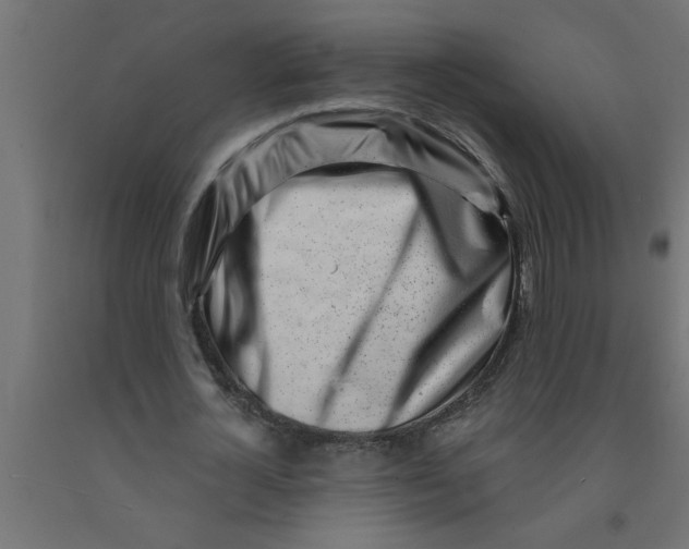 X0000090870724200708241919