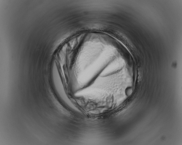 X0000090870725200708241919