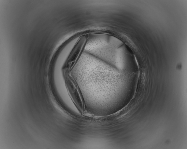 X0000090870726200708241919